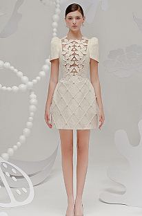 Elegant Embroidered Mini Dress