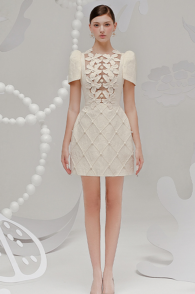 Elegant Embroidered Mini Dress