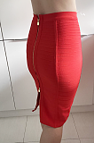 Zipped Stretch Skirt