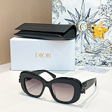 Oval Sunglasses