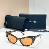 Cat-Eye Sunglasses