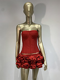 Corset & rose Mini Skirt