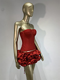 Corset & rose Mini Skirt