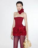 Corset & rose Mini Skirt