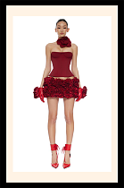 Corset & rose Mini Skirt