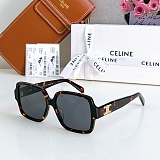 Triomphe 16 sunglasses in Acetate