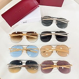 Pilot Sunglasses