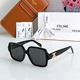 Triomphe 16 sunglasses in Acetate