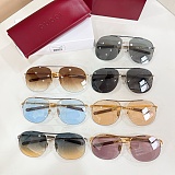 Pilot Sunglasses