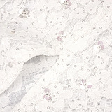 Lace Cape Sleeve Dress