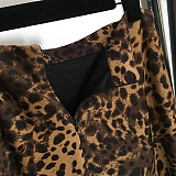 Leopard Printed Bra & Skirt