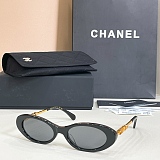 Oval Sunglasses