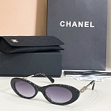 Oval Sunglasses