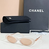Oval Sunglasses