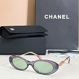 Oval Sunglasses