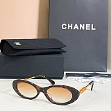 Oval Sunglasses