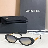 Oval Sunglasses