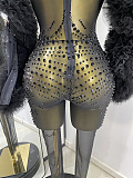 Rhinestone Sheer Bodysuit with Oversized Ruffled Sleeves