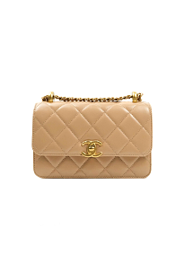 Quilted Mini Perfect Fit Adjustable Beige Calfskin Gold Hardware