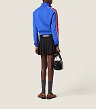 Pleated Mini Skirt
