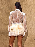 Long Sleeve Lace Shirt