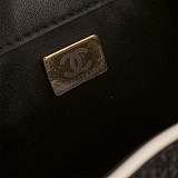 CHANEL 25 Black Raffia Mini Handbag