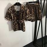 Leopard Shirt Top & Shorts