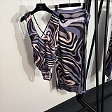 One Piece Swimwear & Cover