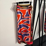One Piece Swimwear & Cover