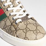 Women's Gucci Ace Sneaker with Web