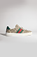 Women's Gucci Ace Sneaker with Web