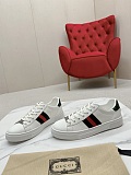 Women's Gucci Ace Sneaker with Web