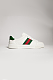 Women's Gucci Ace Sneaker with Web