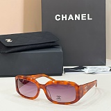 Acetate Crystal CC Sunglasses