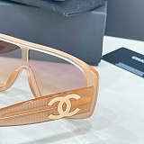 Shield Sunglasses