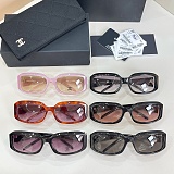Acetate Crystal CC Sunglasses