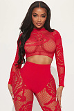 Sheer Fishnet Two Pieces