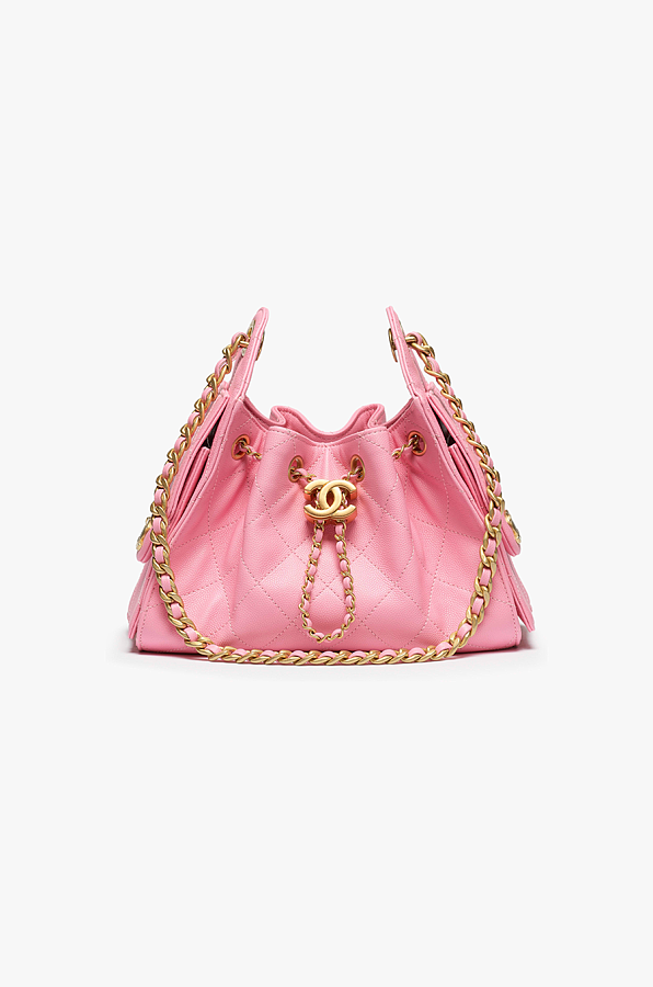 CHANEL 25 Mini Handbag