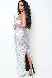Shinny Fabric Sculpted Gown