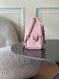 CHANEL 25 Mini Handbag