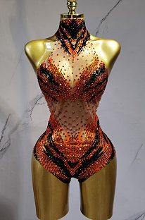 Sparkly Sheer Bodysuit