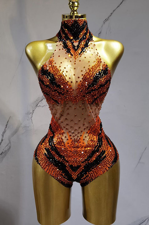 Sparkly Sheer Bodysuit