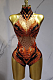 Sparkly Sheer Bodysuit