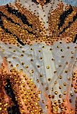 Sparkly Sheer Bodysuit