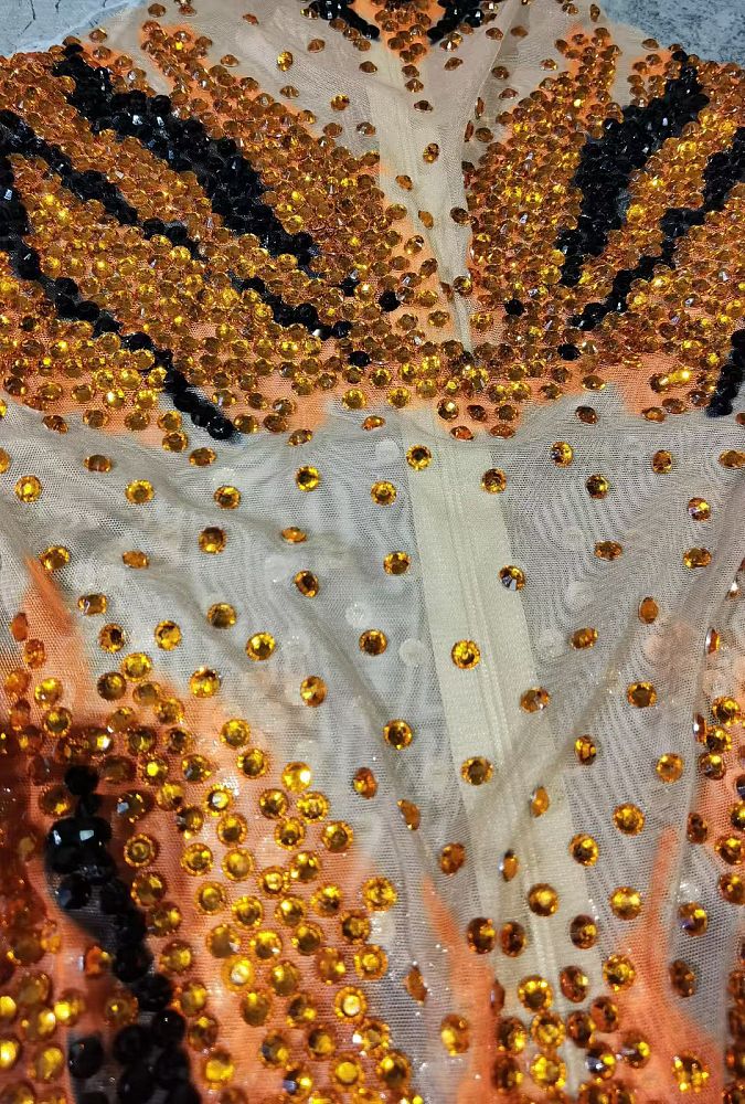 Sparkly Sheer Bodysuit