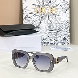 Dior Oblique S1I Square Sunglasses