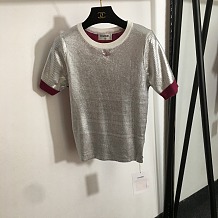 Metallic Knit Short Sleeve Top
