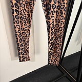 Dolce & Gabbana Leopard Print Sports Bra & Leggings Set