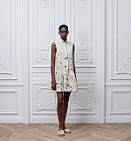 Dior Butterfly Motif Sleeveless Drop-Waist Dress