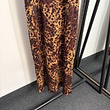 D&G Leopard Print Slip Maxi Dress